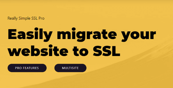 really-simple-ssl-pro.png