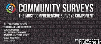 Community Surveys.jpg